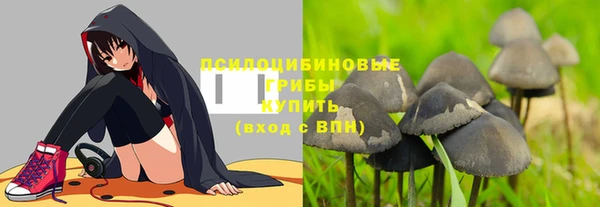 индика Алексин