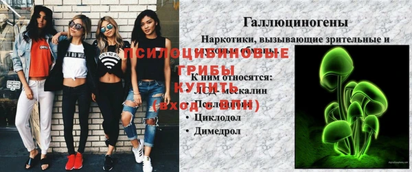 прущий лед Алексеевка