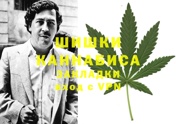 молекула духа Алзамай