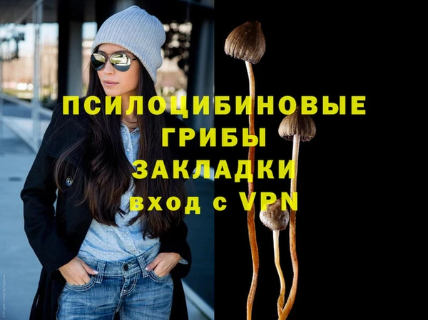 гашик Абдулино