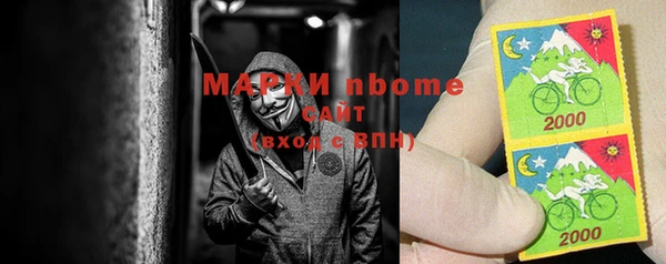 индика Алексин